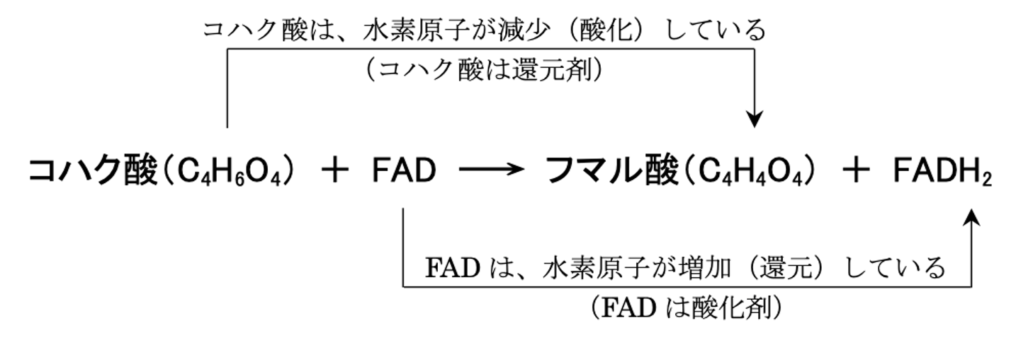解説画像